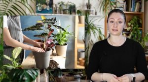 Учим комнатные растения. Строение комнатных растений.Пальчиковая гимнастика. Виды комнатных растени