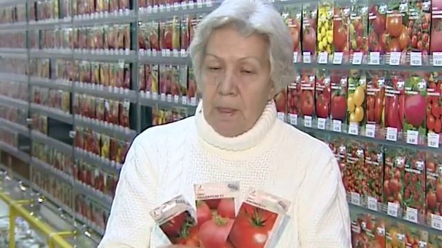 Советы тети Тани. Выбираем крупноплодные томаты. смотреть онлайн