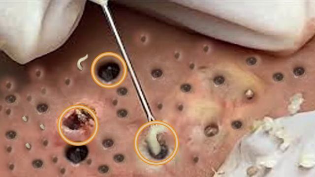 conan 1 смотреть онлайн