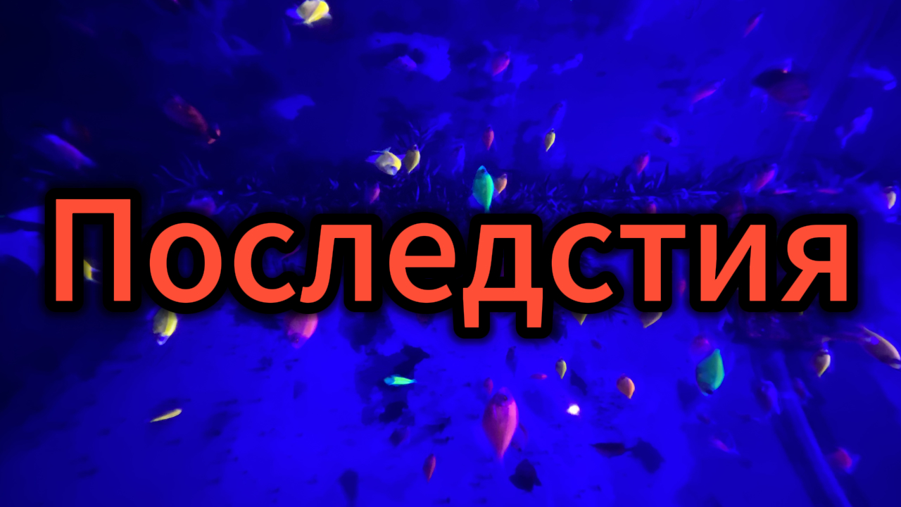 ПОСЛЕДСТВИЯ действий и бездействий тяжелые #Япестовв #ZOO #последствия смотреть онлайн