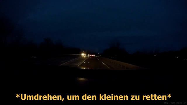 Hund auf A60 bei Heidesheim смотреть онлайн