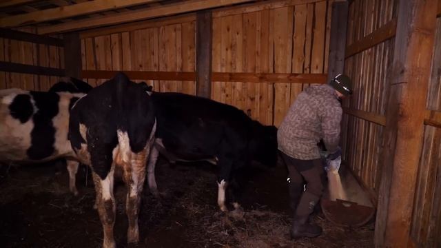 СТРОИМ ДОМ СВОЕЙ МЕЧТЫ В ДЕРЕВНЕ | ОПАРА НА БЕЗДРОЖЖЕВОЙ ХЛЕБ | ВОЛЧЬИ ПОВАДКИ | ЯБЛОЧНЫЙ ПИРОГ смотреть онлайн