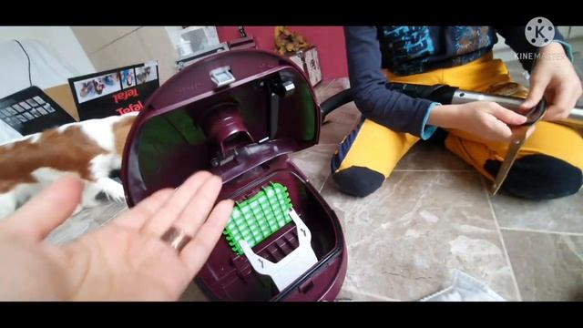 Обзор пылесоса Тефаль Tefal compact TW3999EA наш декоративный кролик и кавалер кинг чарльз спаниель смотреть онлайн