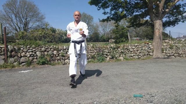 Home Karate session 31 смотреть онлайн