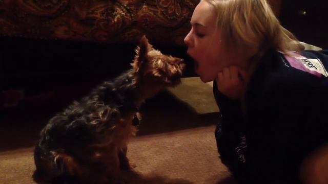 Winifred #3 смотреть онлайн