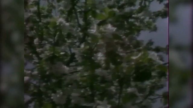 Поет Татьяна Филимонова 