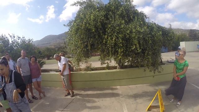 Гид про оливковое масло Крит Греция 18 09 2018 смотреть онлайн