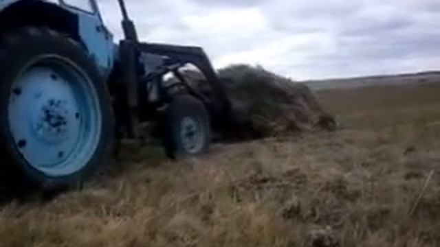 сенокос в Дарье смотреть онлайн