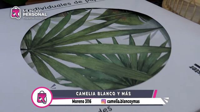 Micro comercial de Camelia Blanco Y Más (Programa del 02-11-2022). смотреть онлайн
