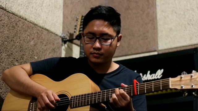 I Don't Wanna Live Forever - Zayn ft. Taylor Swift ( Davidset Fingerstyle ) смотреть онлайн