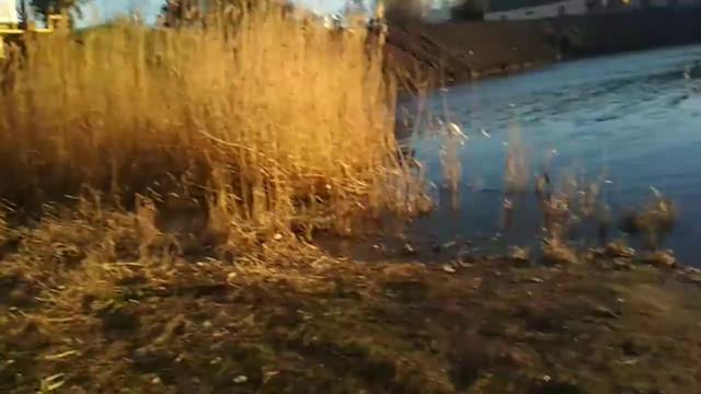 Кореновск |закат|парк|Река Левый Бейсужек |13.03.18 смотреть онлайн