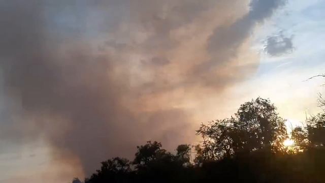 Волгоград, 30.07.2020г смотреть онлайн