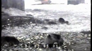 Chukotka. Russia. 1993. /Вынужденная посадка в Энурмино. Чукотка. май 1993 год/