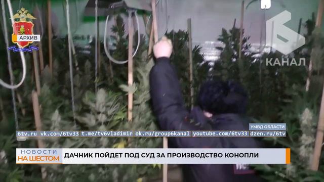 Дайджест 11 мая 2023 год (криминал) смотреть онлайн