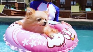 Maggie and Naomi - best sisters stories