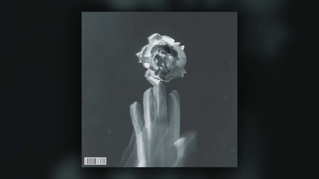 [FREE] LOOP KIT / SAMPLE PACK - "Catacomb Vol. 8" | (Pyrex Whippa, Lil Baby, Southside, Wheezy) смотреть онлайн