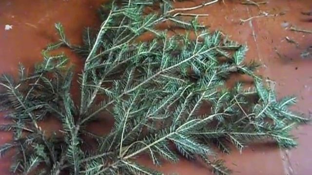 Подушечка здоровья из хвои. смотреть онлайн