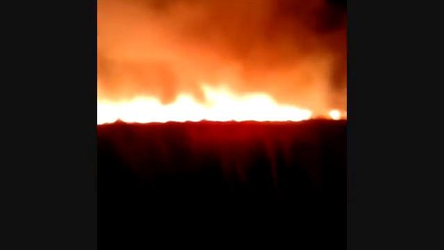 Тушение встречным палом смотреть онлайн
