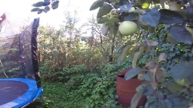 я не хочу на дачу смотреть онлайн