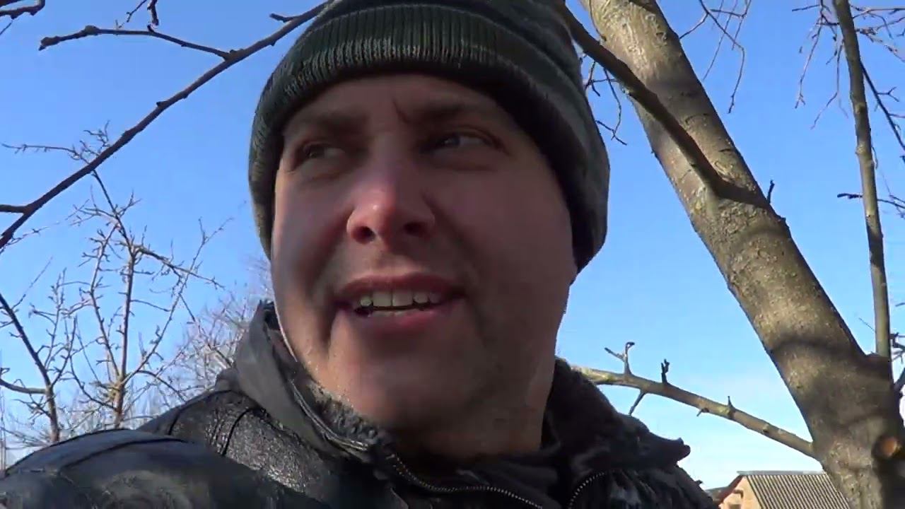 ТАК ПРОШЛИ ДВЕ НЕДЕЛИ / ДЕНЬ РОЖДЕНИЯ АЛИСЫ / ЗАБОЛЕЛИ ВСЕ смотреть онлайн