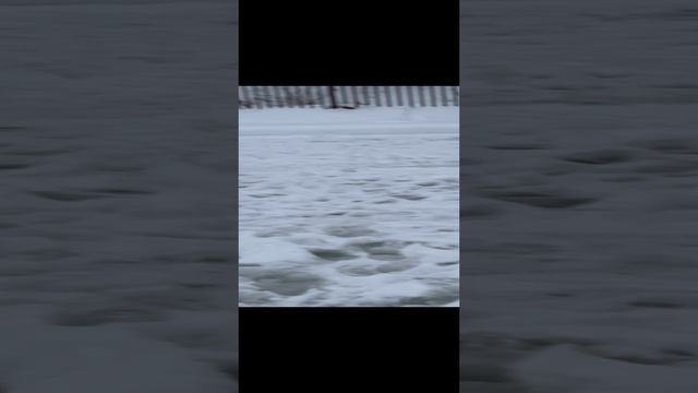 Ловля форели на платнике в Красногорске