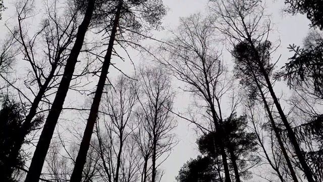 Дети не смысл жизни смотреть онлайн