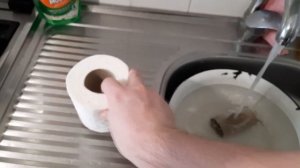Растворяется втулка от туалетной бумаги или нет?