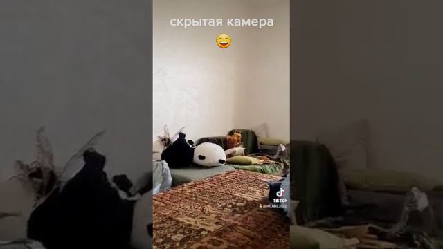 Ники не знает , что её снимают, так она себя ведёт без камер смотреть онлайн