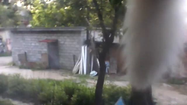 Белая кошка сидит на окне смотреть онлайн