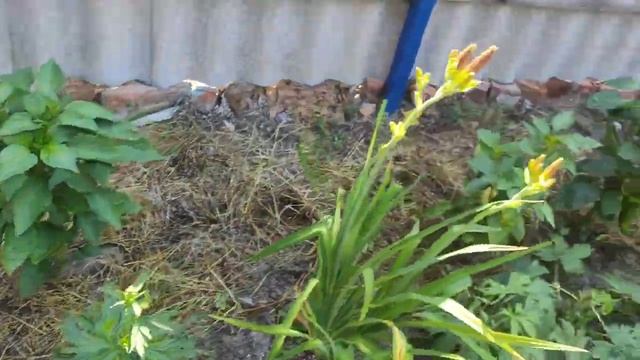 ВСЯ ПРАВДА О КАНАЛЕ 