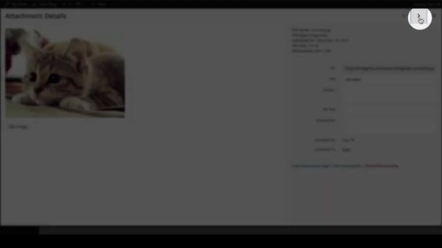 How to Manage your Uploaded Media in WordPress Media Library? смотреть онлайн