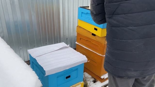 Карника, начало зимовки и под навес… смотреть онлайн