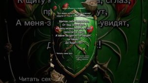 Мощный эенергетический щит от негатива