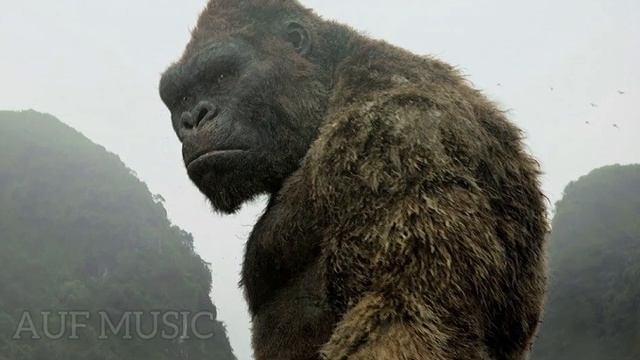 Andy Panda - King kong смотреть онлайн