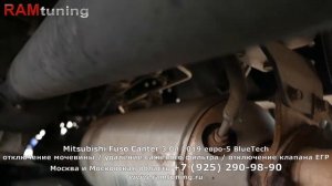 Mitsubishi Fuso Canter 2019 eвро5: отключение мочевины, отключение ЕГР, удаление сажевого фильтра