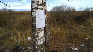 Хатсан страйкер эдж.  Стрельба на 50,70 и 30 метров gsb 0.67