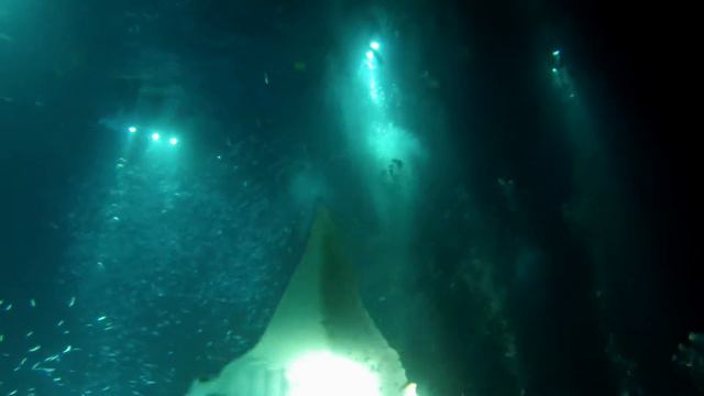 Monster Manta Rays Attack !!! смотреть онлайн