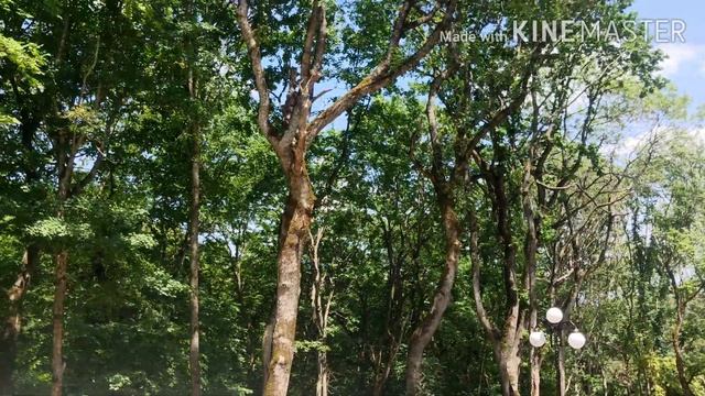 Железноводск Достопримечательности