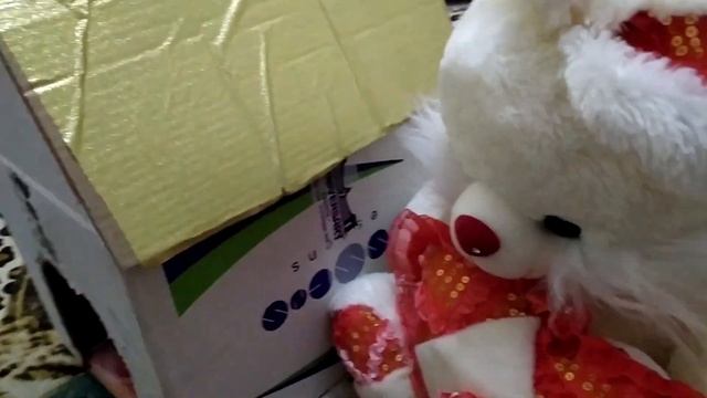 Домик для декоративной крысы смотреть онлайн