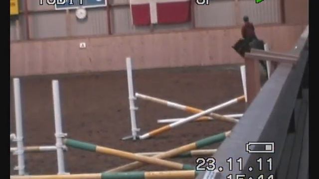Clementine H. Basic Showjumping Training смотреть онлайн