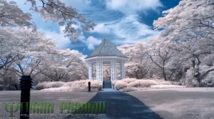 ► Эстер и Джерри Хикс  Учение Абрахама  Просите   и дано будет вам  Часть 2