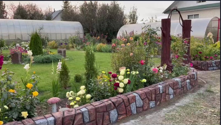 Дружная семейка