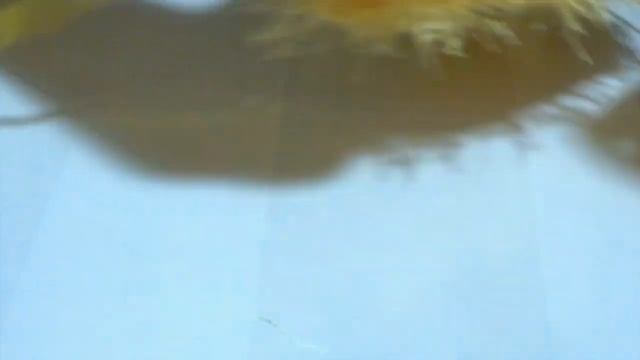 Пальто вязаное крючком для кота в стиле тильда. смотреть онлайн