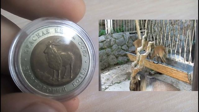 Биметаллические монеты СССР 5 рублей 1991 (454) Винторогий козёл смотреть онлайн
