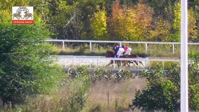 13.10.2023 - Приз в честь Терского к/з №169 - Подход Терск смотреть онлайн