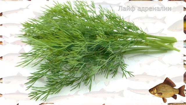 Добавьте щепотку этого в тесто для карася и клёв будет бешеный! Ароматизаторы для карася! смотреть онлайн