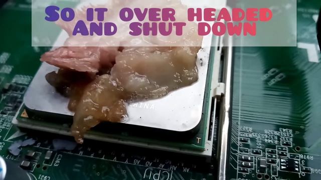 Cooking Ham on a Computer CPU! ? AMD Sempron Heat Demonstration смотреть онлайн