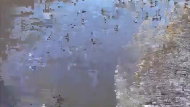 "Кронала" / Cronula, прекрасное море, бездонное небо и ... настоящая Австралия! Рамзес-736 смотреть онлайн