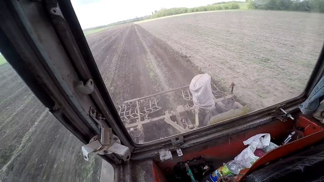 #Т40 Прополка поля гарбуза пішла не по плану. все заросло рядків не видно/# Т40 Прополка тыквы смотреть онлайн