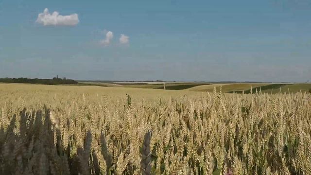 Южный Буг от истока до устья. Июль 2021. Часть 1. смотреть онлайн